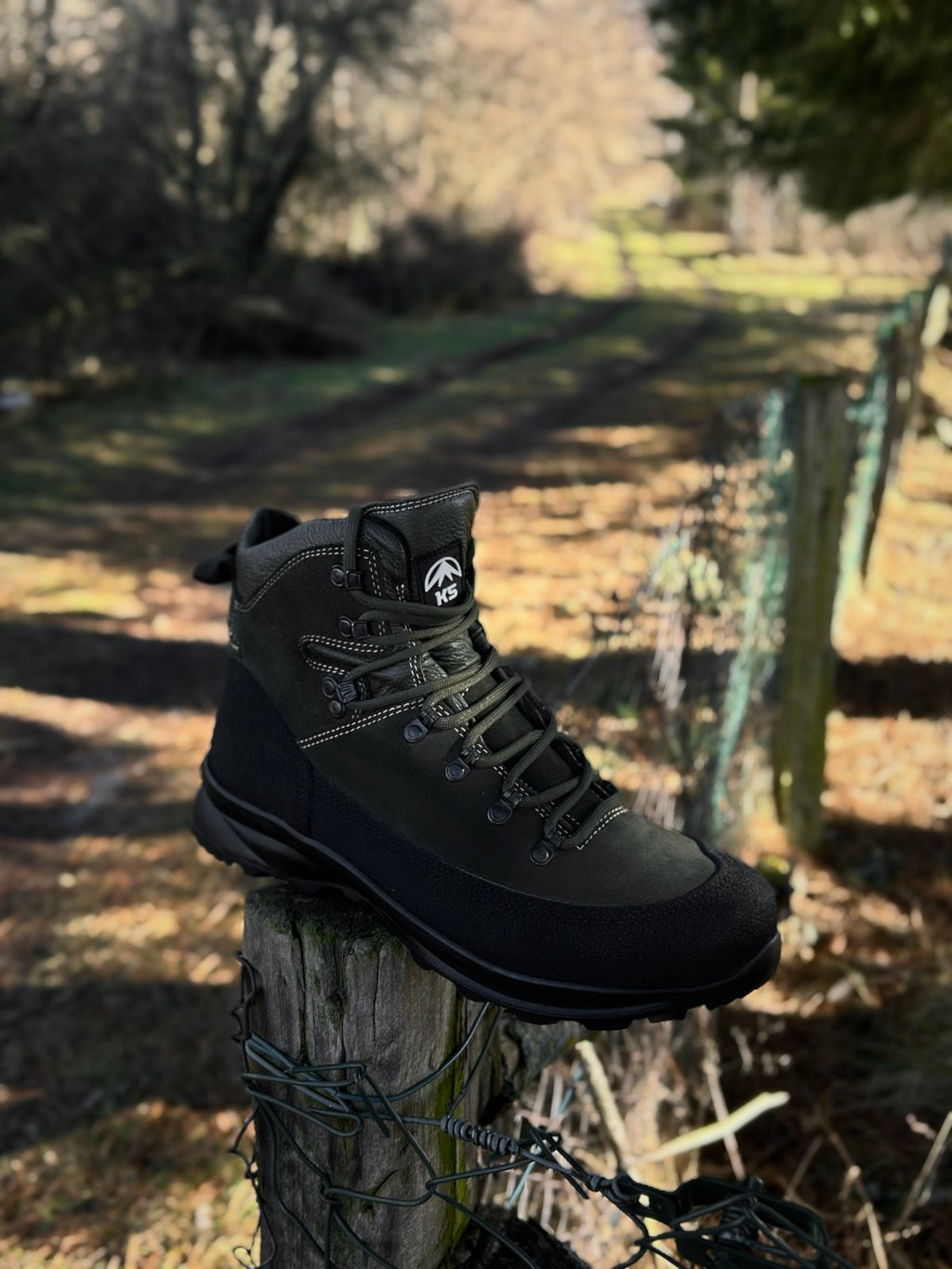 160 Arrow Olive