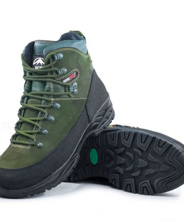 160 Arrow Olive